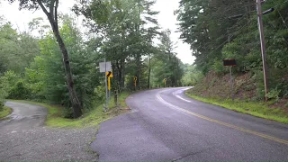 Bigfoot? In Connecticut? have you seen him?
