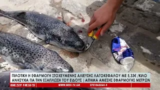 Πιλοτική εφαρμογή στοχευμένης αλίευσης λαγοκέφαλου -Την άμεση εφαρμογή των μέτρων ζητούν οι αλιείς