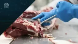 Volume embarcado de carne bovina ultrapassa 3,8 mi ton, aponta Abrafrigo | Giro de Notícias