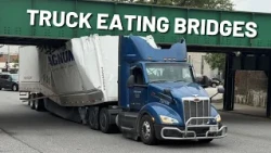 111 trucks have hit Davenport’s train bridges in 5 years