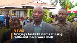 Глава администрации округа Киринъяга-Ист Камау Ва Майна тревожно реагирует на рост краж скота и м...