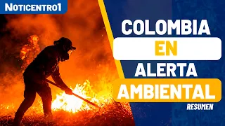 Wildfires devastate Tolima: Animals affected and communities plead for urgent help