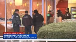 ПОСЛЕДНИЕ ОБНОВЛЕНИЯ: По данным полиции Чикаго, 8-летняя девочка оказалась среди трех раненых в р...