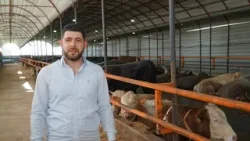 Bursa’da kurbanlıkta hareketlilik başladı! İşte fiyatlar…