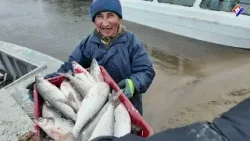 Обрученные с морем и рекой...