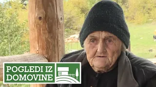 Devedeset sedam godina i stotinu potomaka - Bindžuj "POGLEDI IZ DOMOVINE"