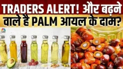 Palm Oil Price Today | Spot बाजार में पाम आयल के दाम $1025, क्या है इसकी असल वजह? | Cooking Oil
