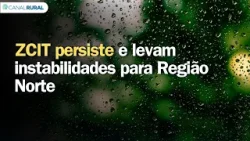 Previsão do tempo | Brasil 15 dias | ZCIT persiste e levam instabilidades para Região Norte