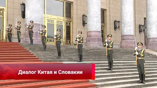 China-Slovakia dialogue, the power of unity, budget growth, robots in action, big cat census