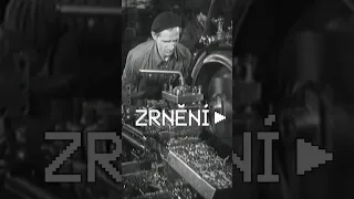 Své síly před kamerami měřili řezníci, znalci Sovětského svazu i montéři spojky koaxiálního kabelu!