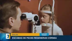 ⛈️ Clima: España y Portugal en alerta por nevadas y lluvias de la DANA.