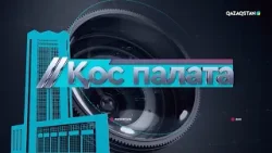 «Қос палата». Сенаторлар қандай заңдарды қарады?