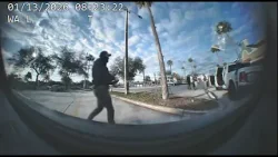 Jacksonville ICE raid: Dashcam video of woman accused of punching trooper argues with officers