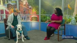 Pet of the Week: LP, Finger Lakes SPCA