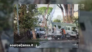 Top News- Çmendet moti! Stuhia e frikshme lë pas viktima e shkatërrim në pak orë