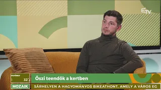 Őszi teendők a kertben – Mozaik