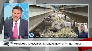 Αποζημιώσεις για τα θανατωθέντα ζώα - Αγωνία για το μέλλον της κτηνοτροφίας