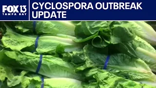 FDA says positive Cyclospora lettuce test was a false alarm