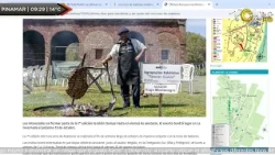 Concurso de Asadores