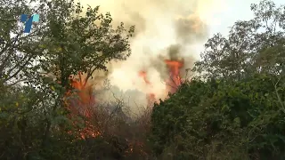 Пожарот на Китка во фокусот на пожарникарите и ДЗС