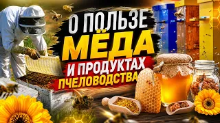 Getting Ready for Honey Feast Day: All the Ins and Outs of Honey Harvesting | Success at the Summ...