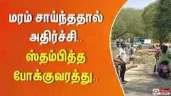 மரம் சாய்ந்ததால் அதிர்ச்சி.. ஸ்தம்பித்த போக்குவரத்து..