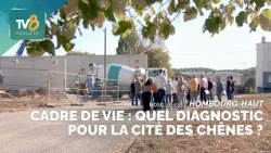 Living Environment: What is the Diagnosis for the Cité des Chênes?
