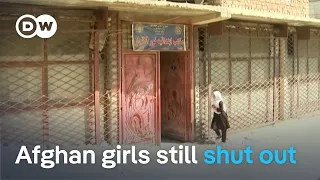Five years after the Taliban's return, Afghan women see no end to restrictions | DW News