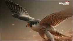 برنامج الحضيرة | حلقة 23 يناير 2026