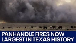 Texas Panhandle fire now largest in state history | FOX 7 Austin