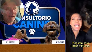 Catherine Fulop and Facundo Arana appeared with CONTROVERSIAL messages for Pache and Plumis