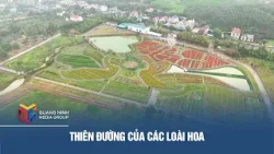 Thiên đường của các loài hoa