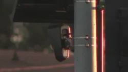 В Ист-Пало-Альто отложили решение по вопросу безопасности птиц, жители выразили несогласие.