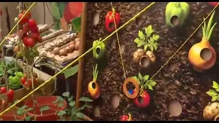 ¡La Expo se llena de sabor, tradición y mucha buena onda!