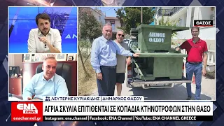 Θάσος: Επιθέσεις σκύλων σε κτηνοτροφικές μονάδες