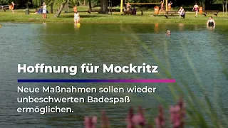 Can fish save the Mockritz natural pool? | Sachsen Fernsehen