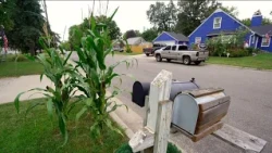A different corn tradition is taking root in small Minnesota town