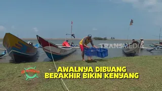 Mengolah Tulang Ikan Jadi Soft Cookies Nikmat | JEJAK SI GUNDUL (22/09/26)