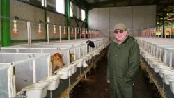 Türkiye’nin en büyük ‘Jersey’ çiftliği Bursa’da