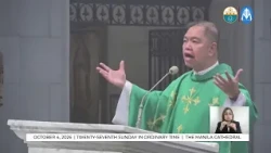 Homily | 4 October 2026
