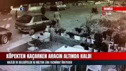 Köpekten kaçarken aracın altında kaldı | Valilik ve belediyeler 10 milyon lira tazminat ödeyecek