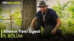 Ailenin Yeni Üyesi 5. Bölüm | Tayland | TRT Belgesel