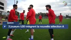 Maroc - Matchs amicaux : 3 joueurs U20 intègrent la nouvelle sélection A