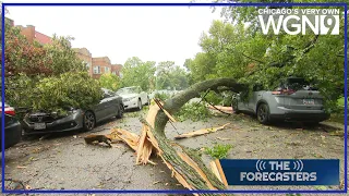 Tornadoes, derecho wreak havoc across Chicagoland - The Forecasters