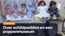 Óngerwaeg en een gesprek over een schildpad in Swalmen