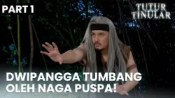 Arya Dwipangga Tumbang oleh Pedang Naga Puspa | TUTUR TINULAR | EPS.52 | PART 1/5