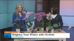 Midwest Access: Viv's Groovy Garden - Brighten Your Winter with Orchids Midwest Access: Viv's Groovy Garden - Brighten Your Winter with Orchids