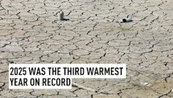 2025 год стал третьим самым теплым годом за всю историю наблюдений.