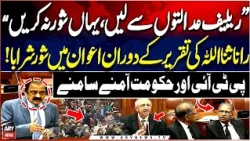 Rana Sanaullah Slams Opposition During Senate Session