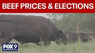 Are beef prices impacting November midterm elections?